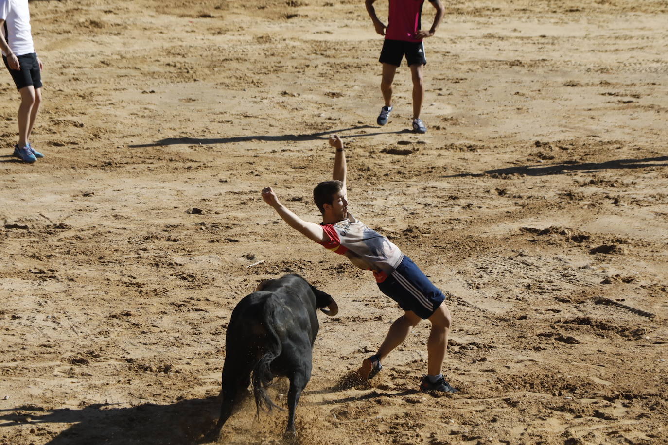 Fotos: Segundo encierro y capea matinal en Peñafiel