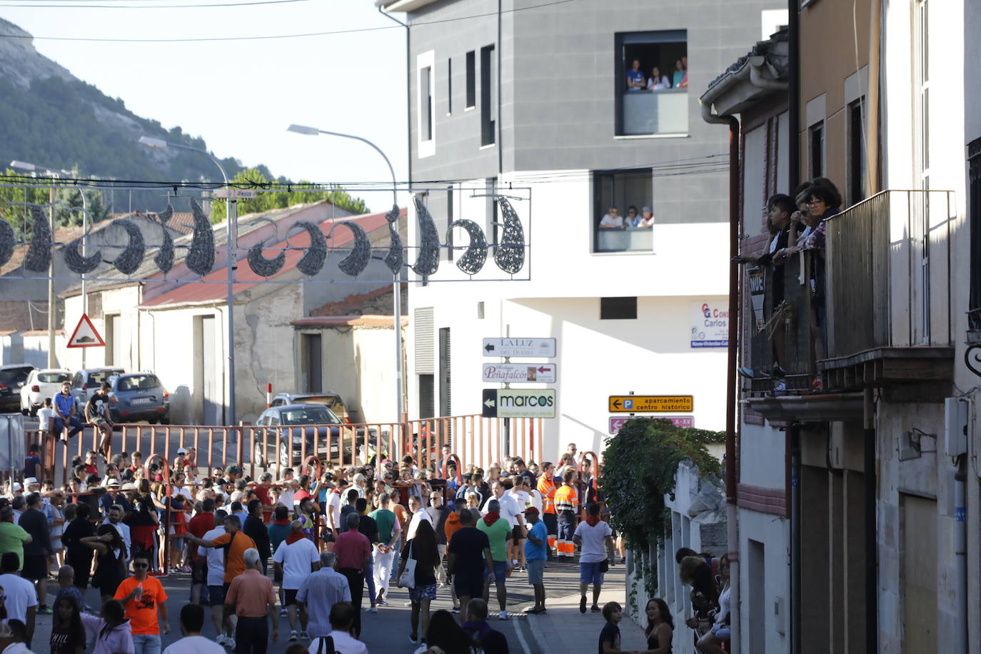 Fotos: Segundo encierro y capea matinal en Peñafiel