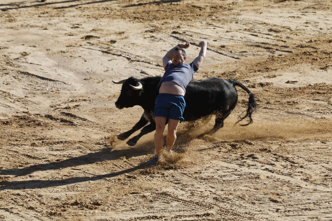 Fotos: Segundo encierro y capea matinal en Peñafiel