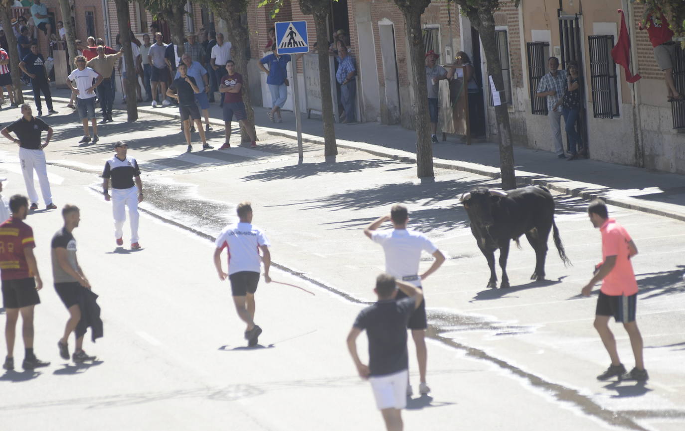 Fotos: Cuarto encierro de las fiestas de Rueda 2019