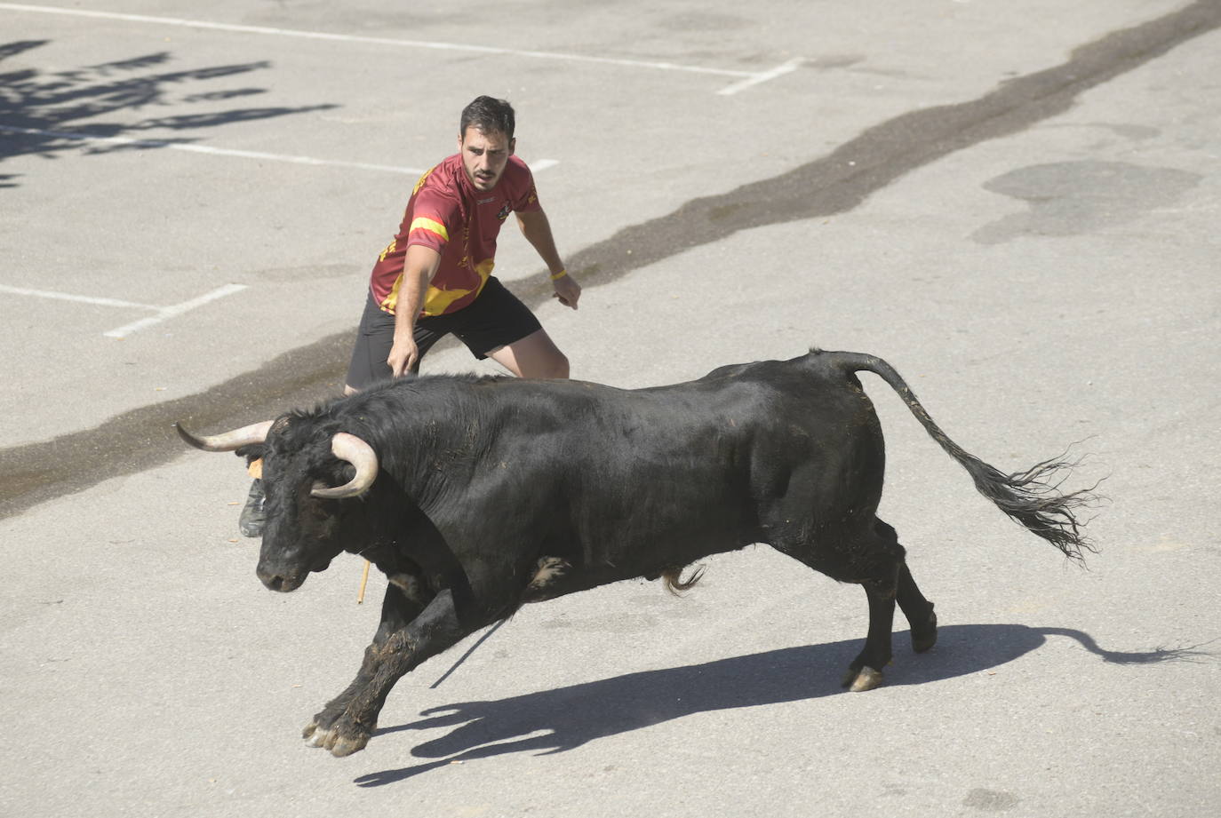 Fotos: Cuarto encierro de las fiestas de Rueda 2019