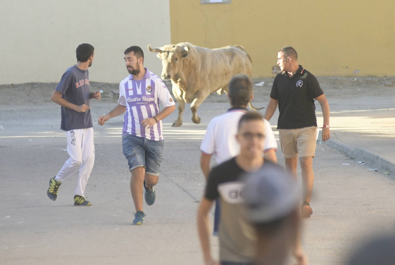 Fotos: Encierro dle viernes por la tarde en Pollos