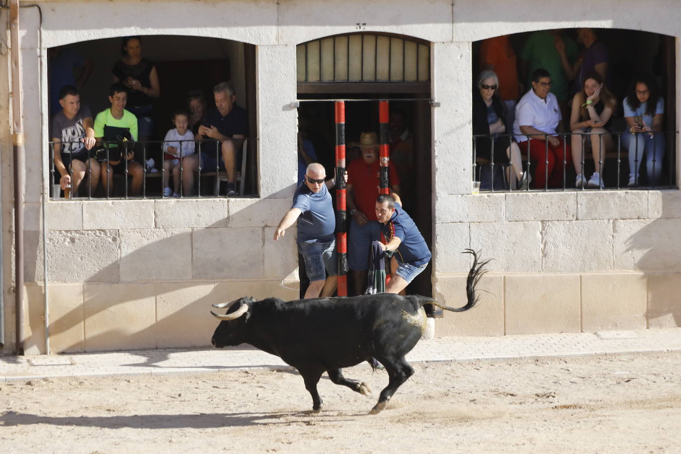 Fotos: Encierro y capea matutina del sábado en Peñafiel