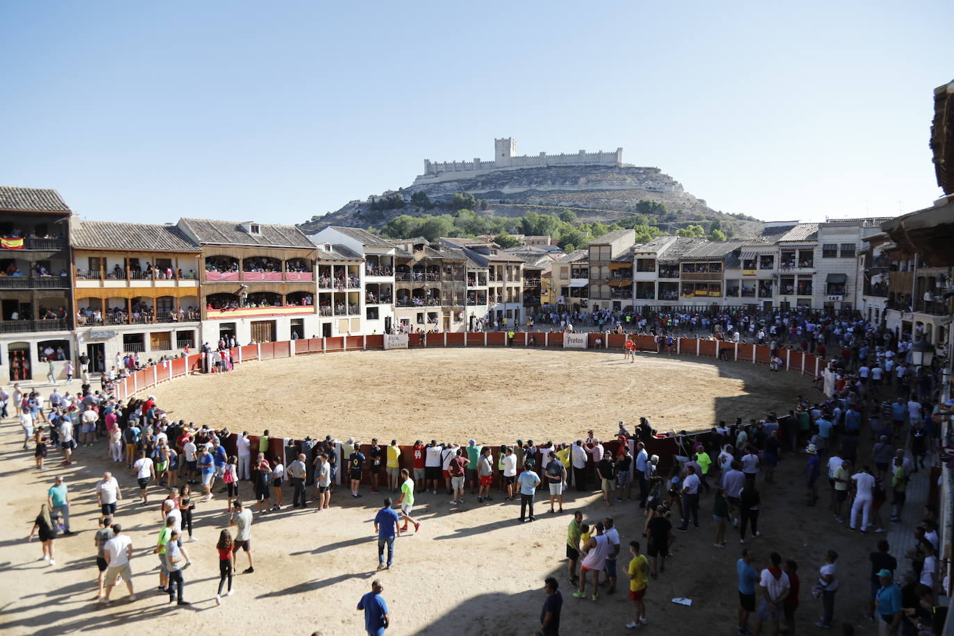 Fotos: Encierro y capea matutina del sábado en Peñafiel