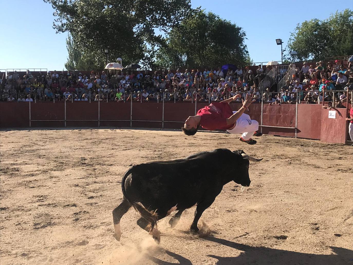 Salto ejecutado por uno de los participantes en el concurso de cortes de esta tarde en Aldeamayor. 