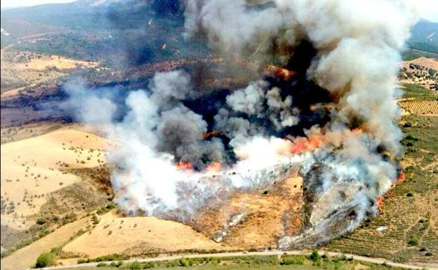 Imagen aérea de la zona en la que se ha producido el incendio.