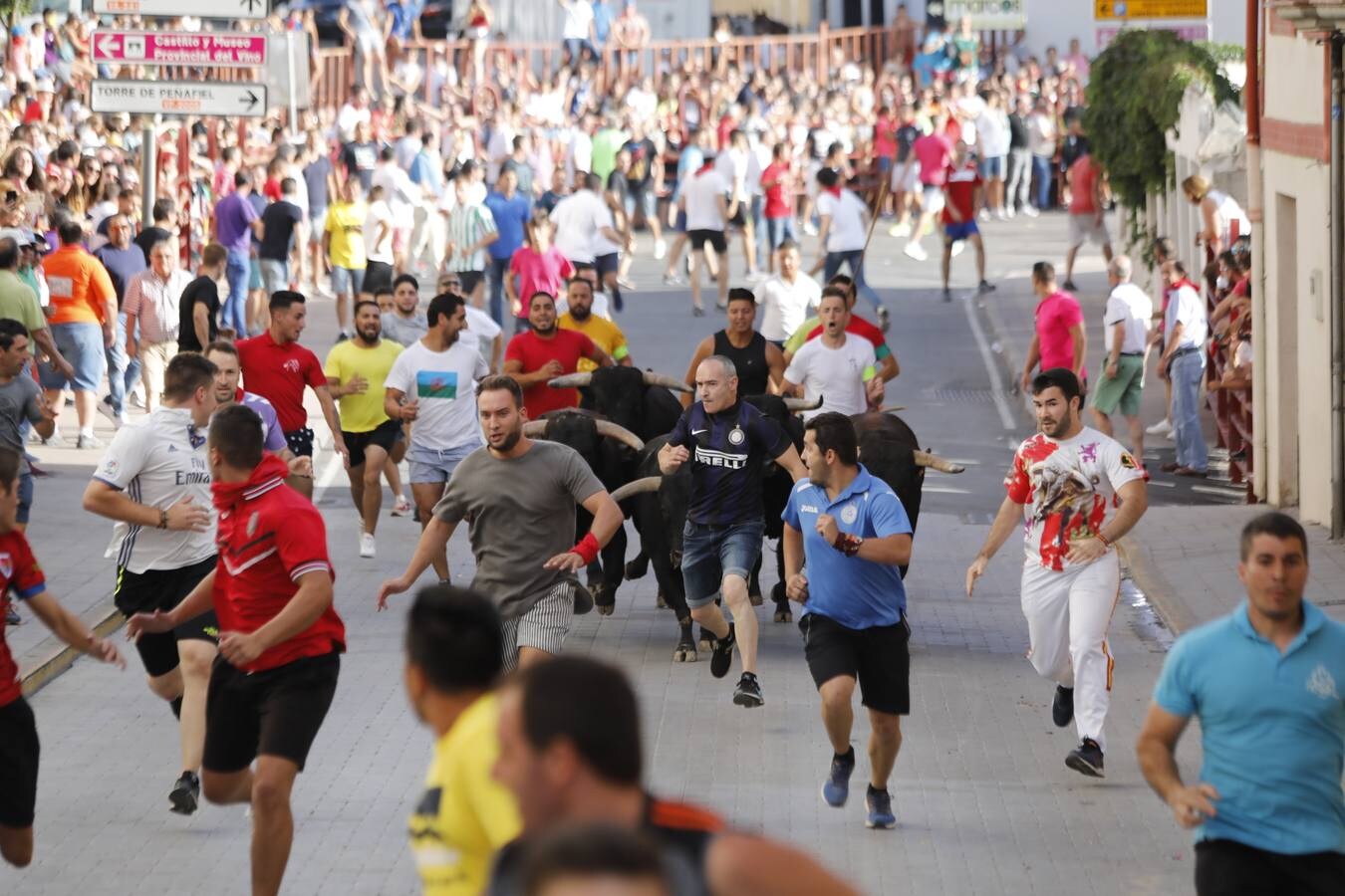 Fotos: Peñafiel despide cinco intensos días de fiestas patronales (2/2)