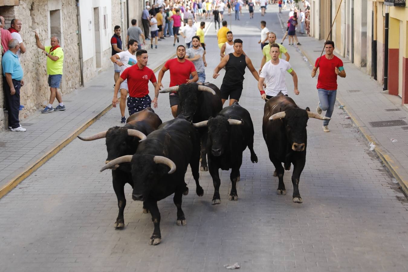 Fotos: Peñafiel despide cinco intensos días de fiestas patronales (2/2)
