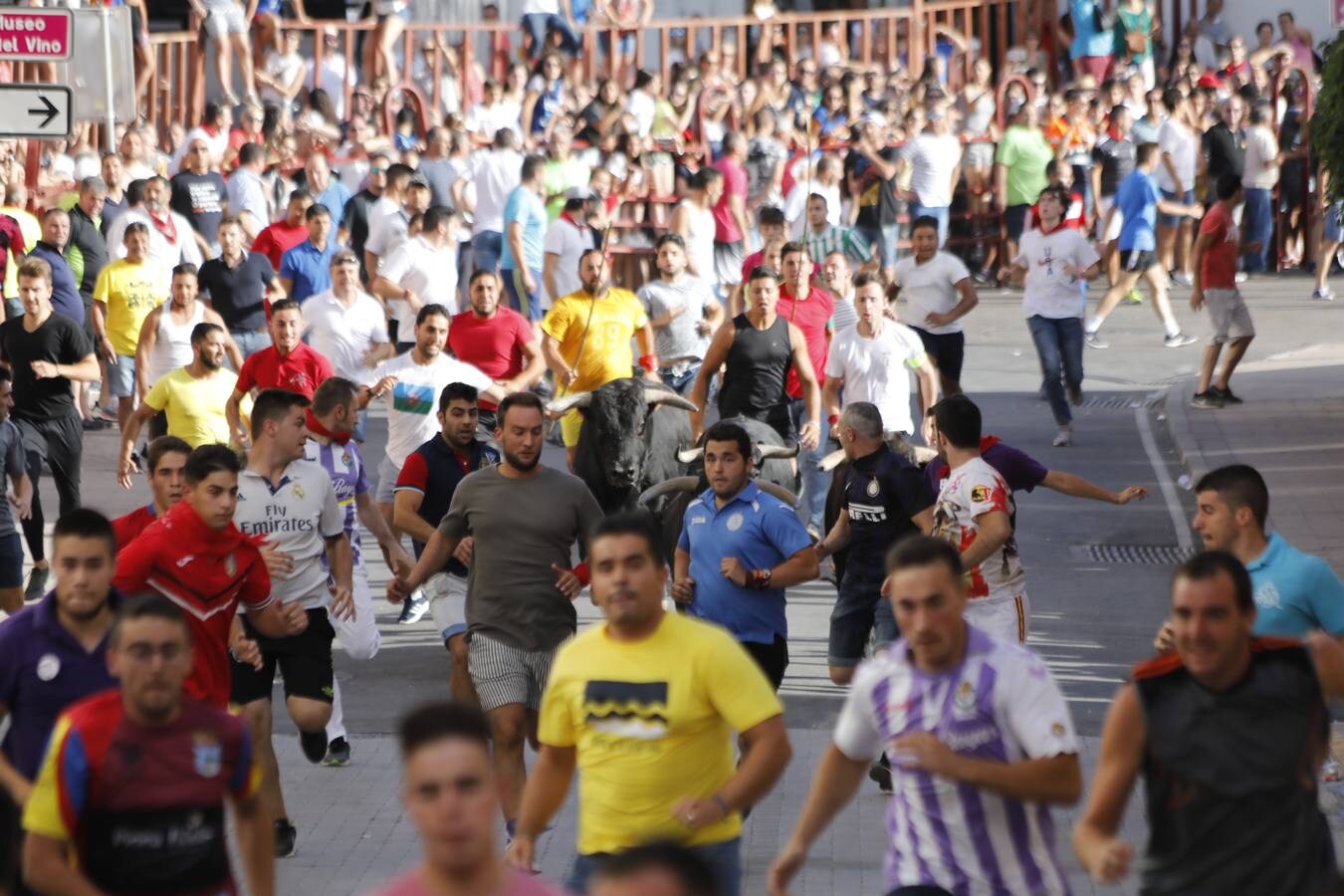 Fotos: Peñafiel despide cinco intensos días de fiestas patronales (2/2)