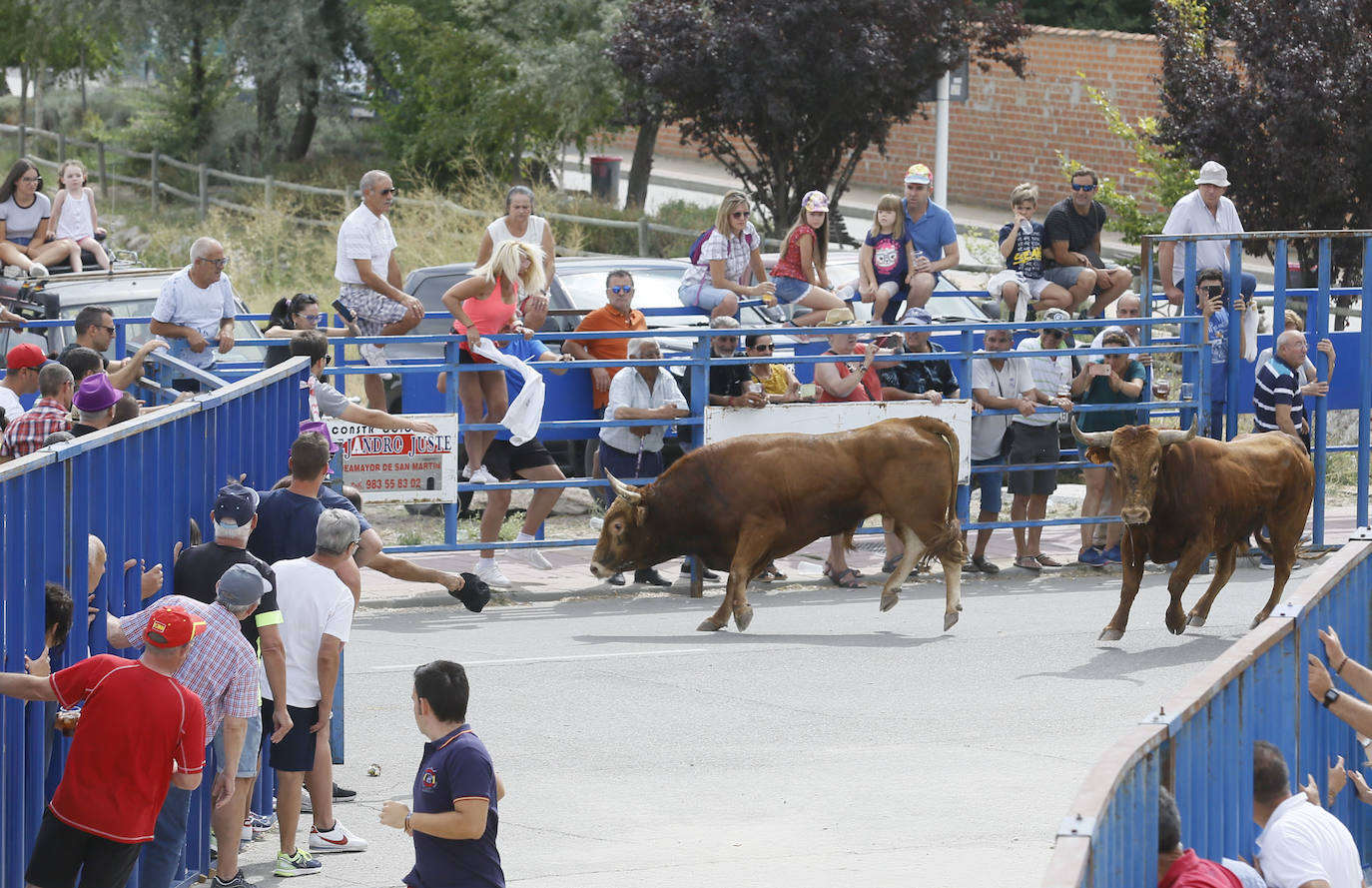 Fotos: Encierro en Aldemayor de San Martín