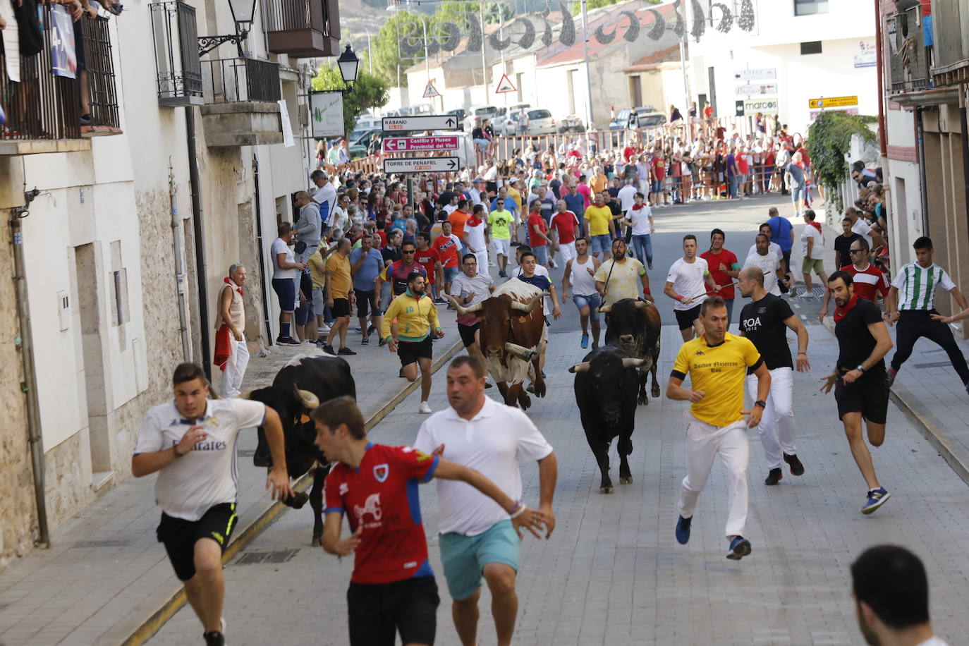 Fotos: Encierro y capea del domingo en Peñafiel