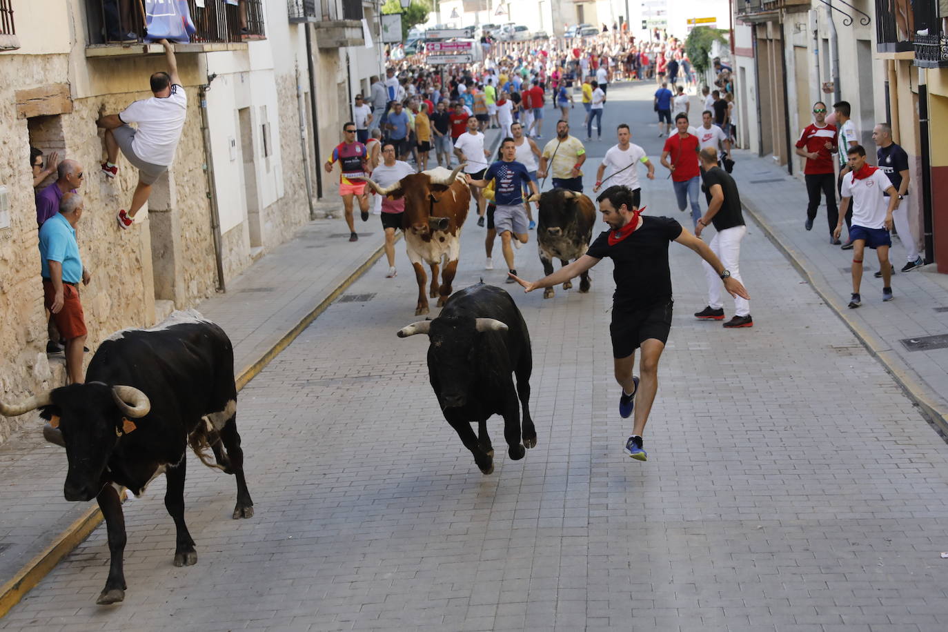 Fotos: Encierro y capea del domingo en Peñafiel