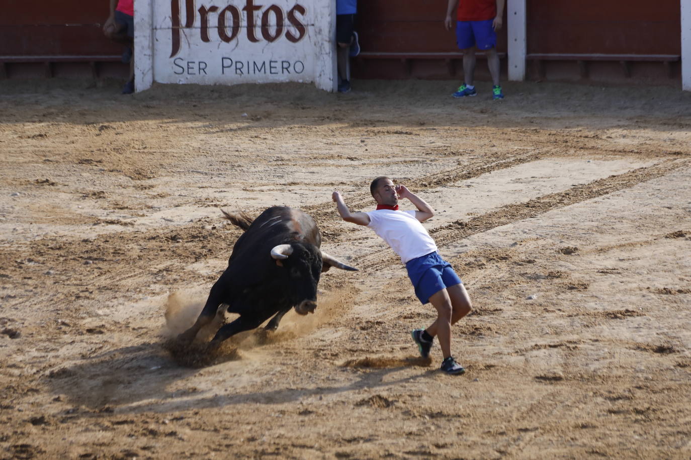 Fotos: Encierro y capea del domingo en Peñafiel