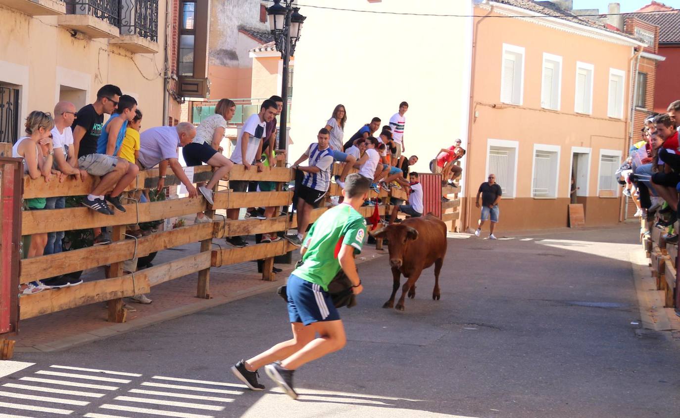 Fotos: Encierro en Torquemada