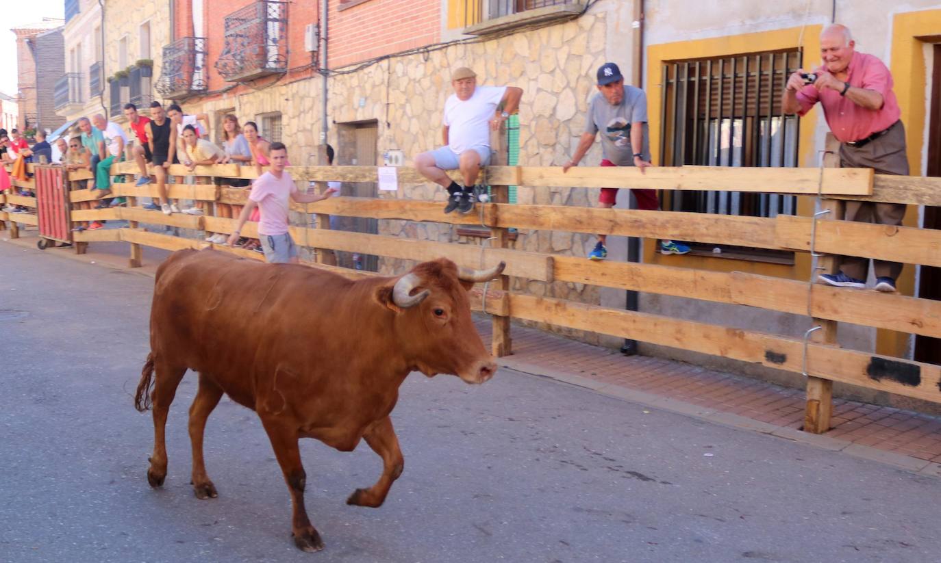 Fotos: Encierro en Torquemada