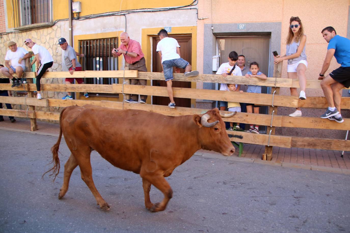Fotos: Encierro en Torquemada