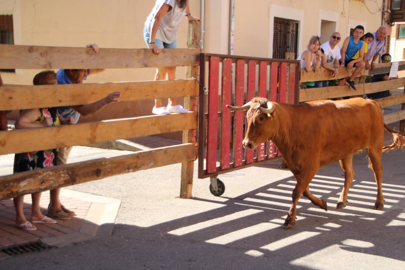 Fotos: Encierro en Torquemada