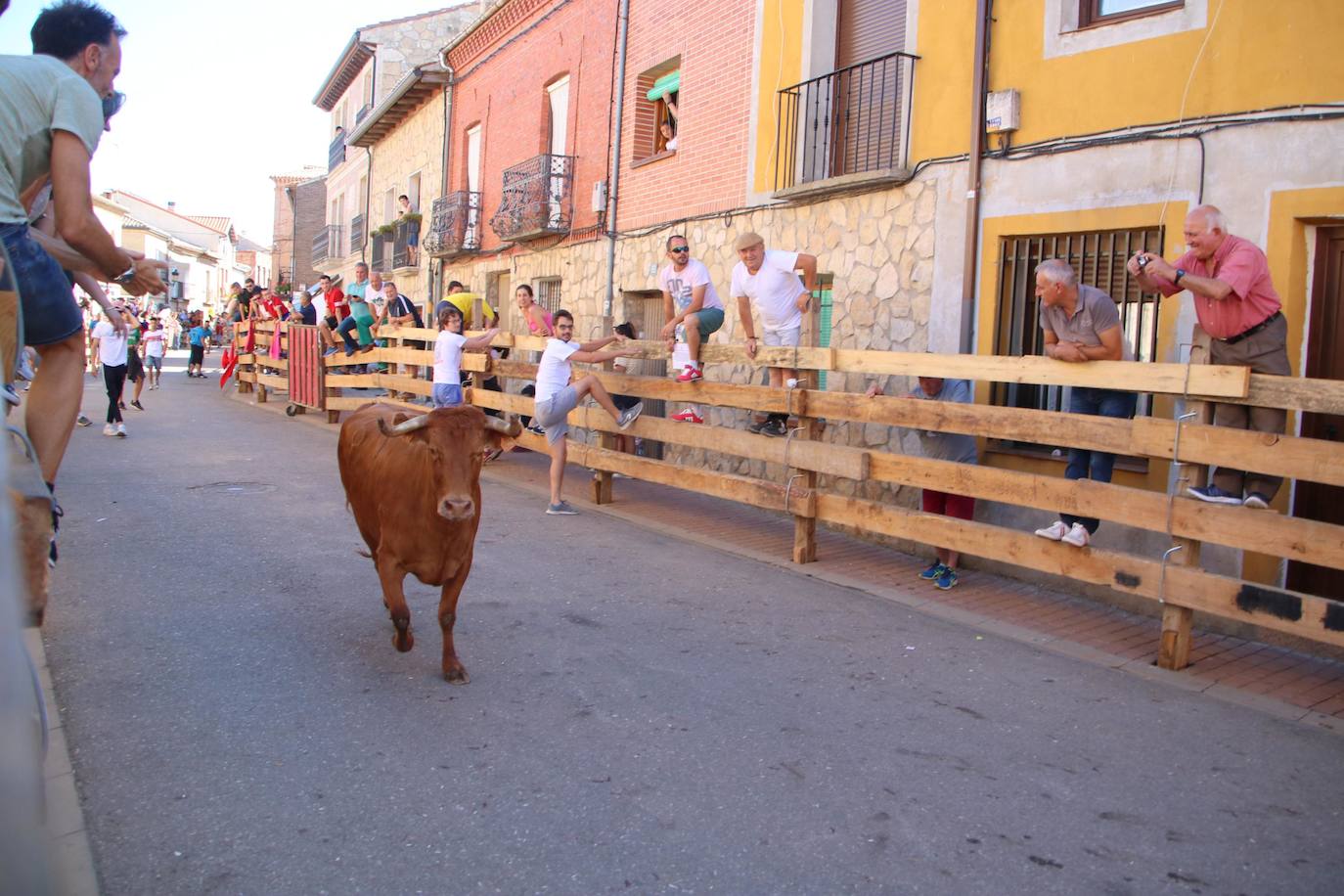 Fotos: Encierro en Torquemada