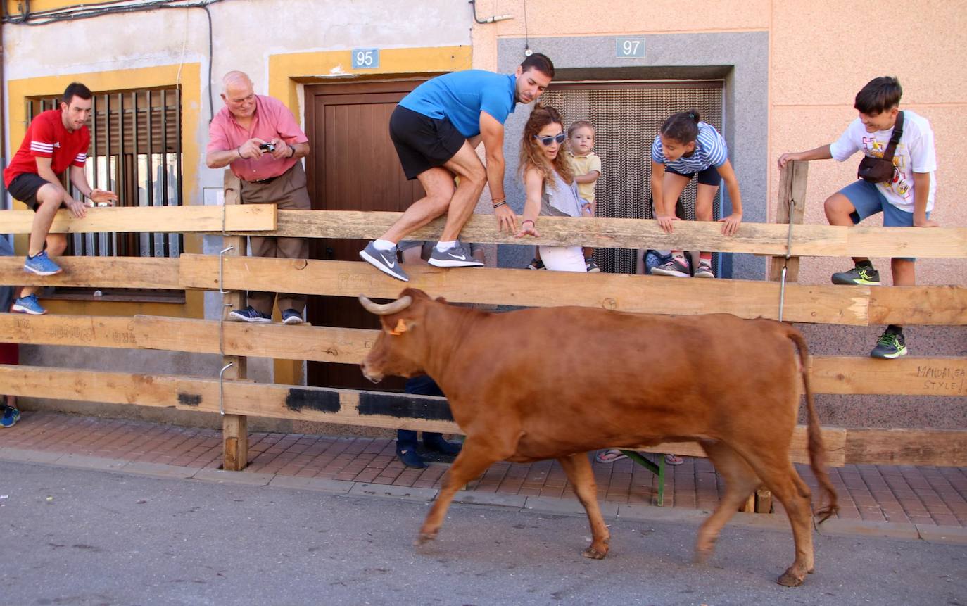 Fotos: Encierro en Torquemada