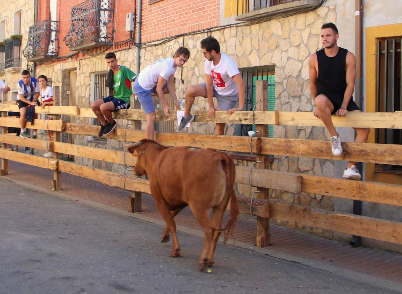 Fotos: Encierro en Torquemada