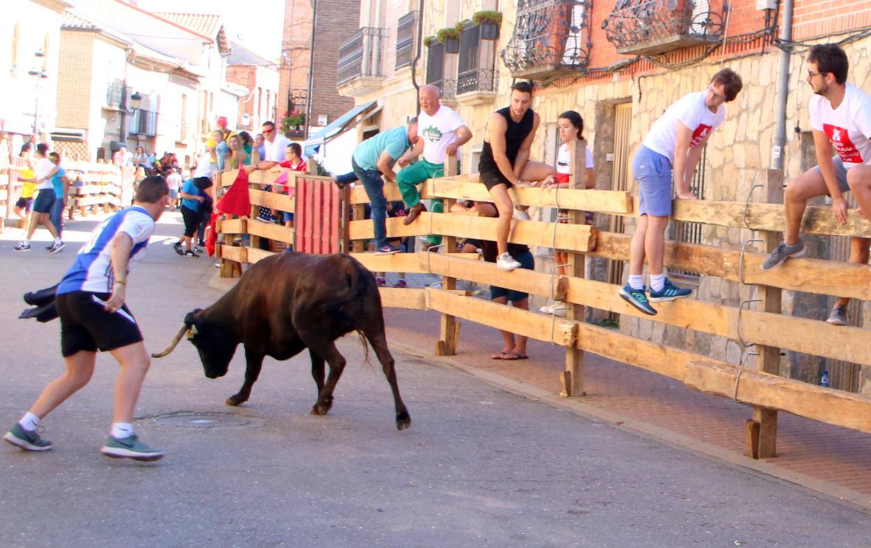 Fotos: Encierro en Torquemada