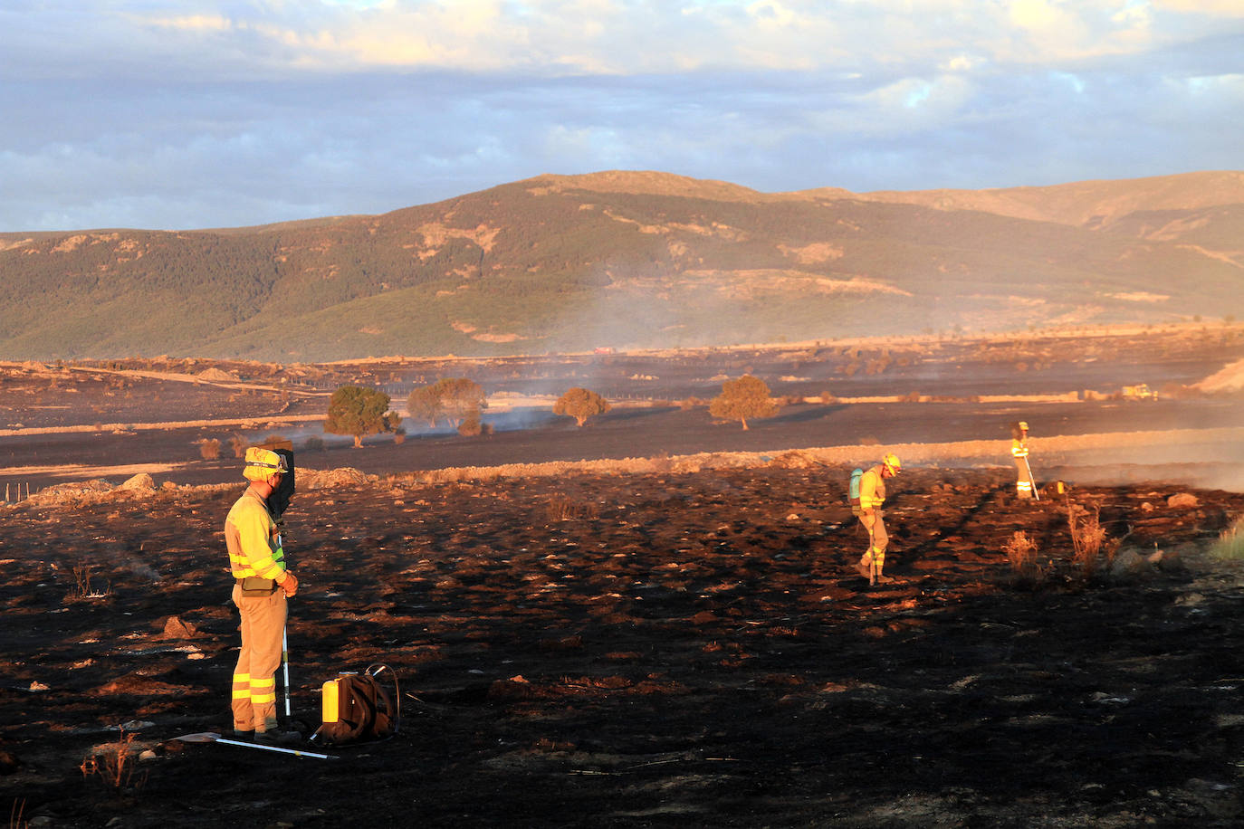 Fotos: Incendio de pastos en Torrecaballeros