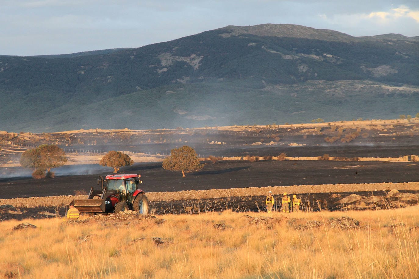 Fotos: Incendio de pastos en Torrecaballeros