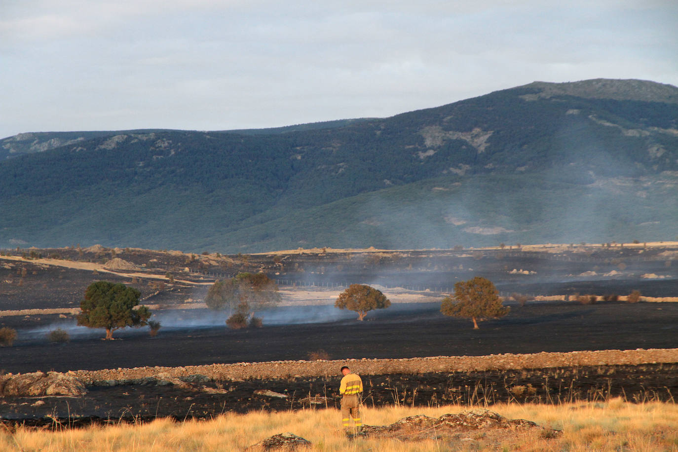 Fotos: Incendio de pastos en Torrecaballeros