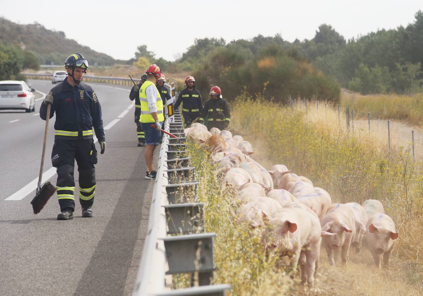 Fotos: Accidente en la A-62 a la altura de Palenzuela, Palencia