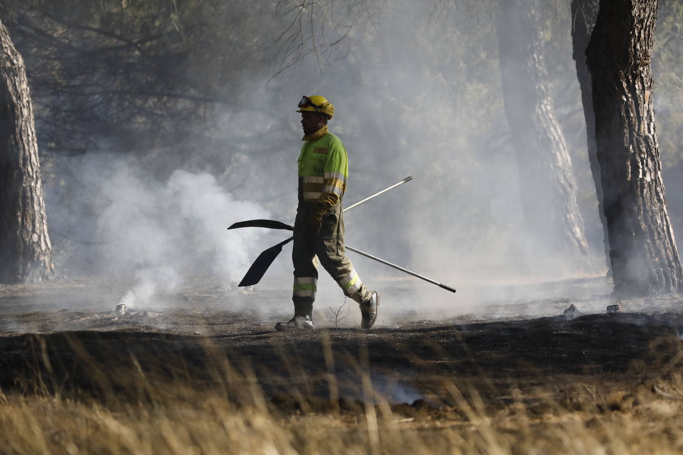 Fotos: Incendio en Bocos de Duero