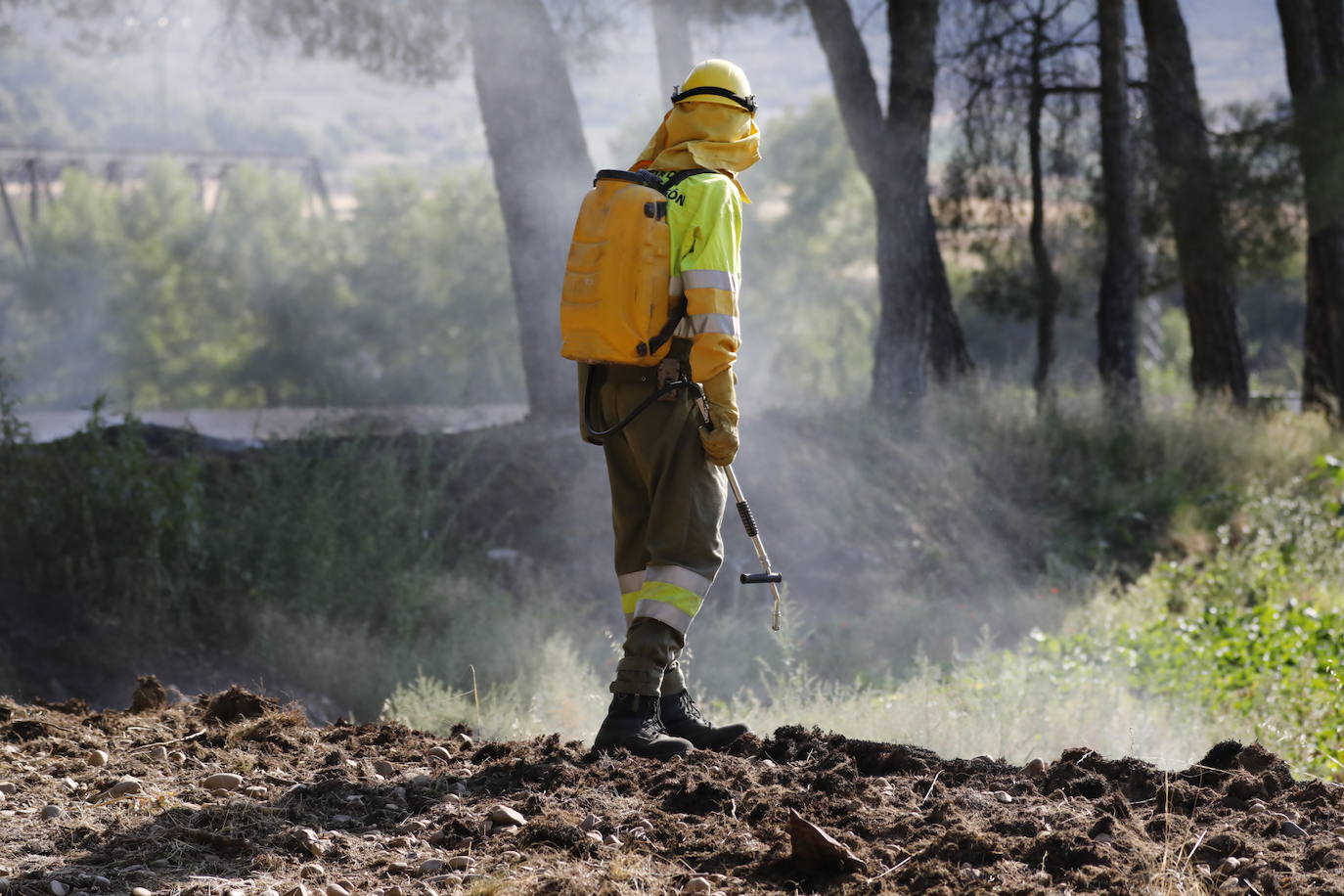 Fotos: Incendio en Bocos de Duero