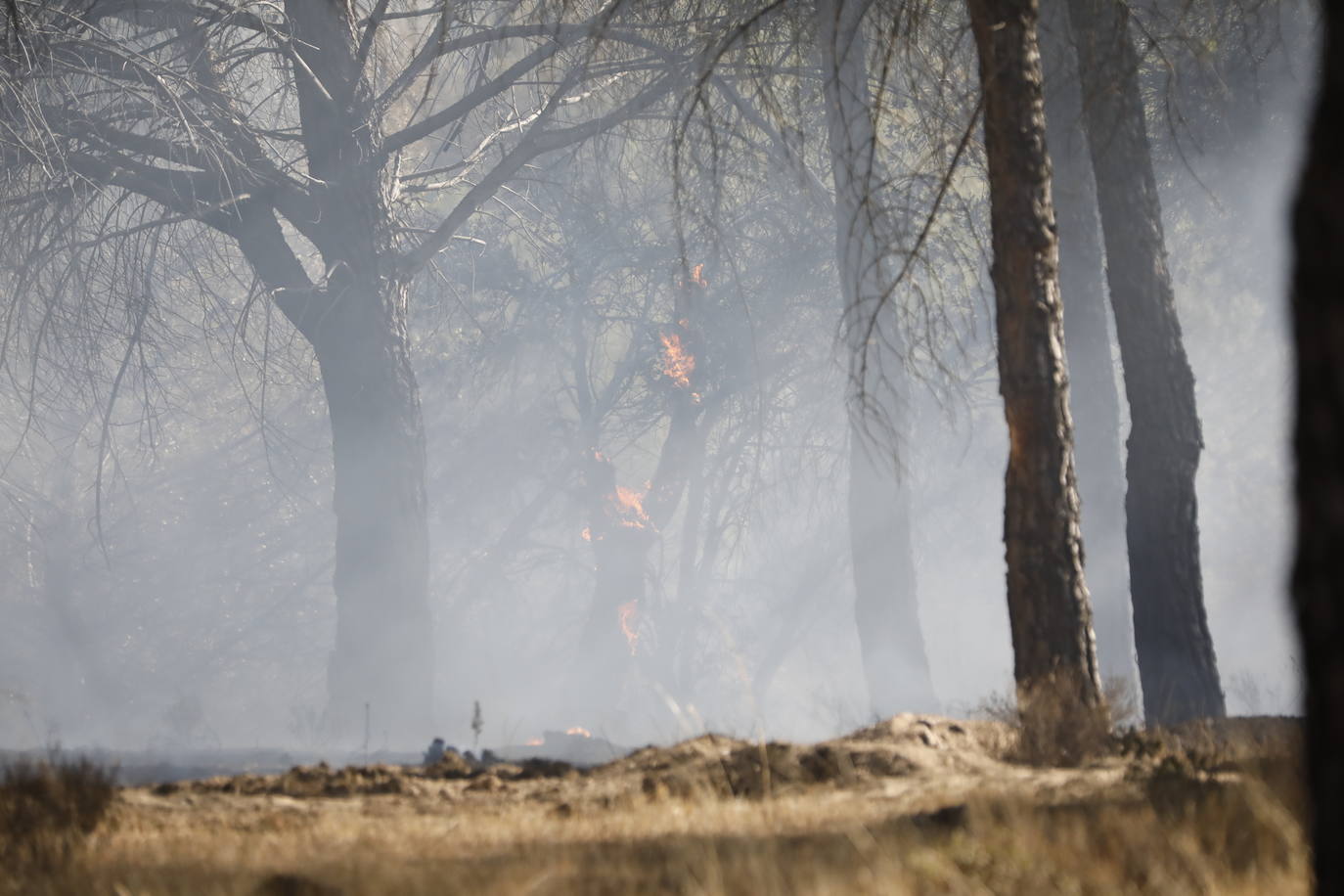 Fotos: Incendio en Bocos de Duero