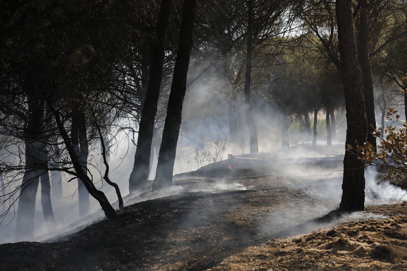 Fotos: Incendio en Bocos de Duero