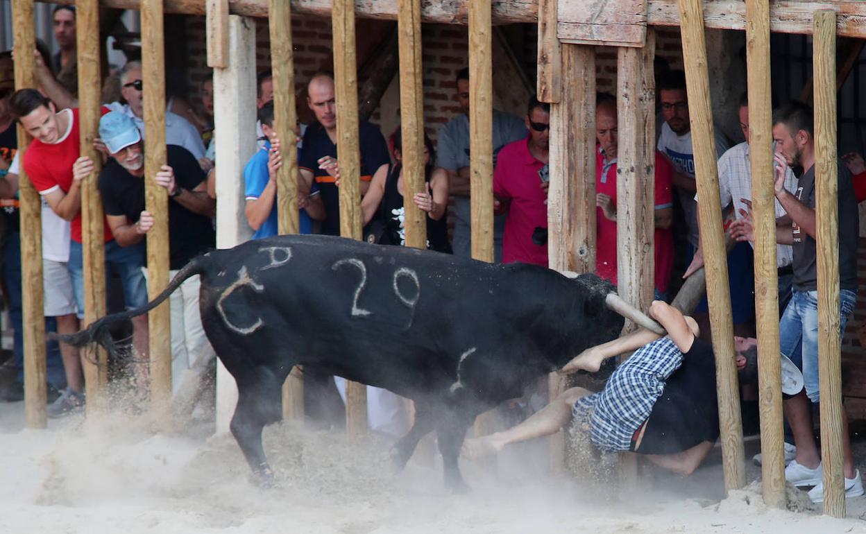 Momento de la cornada en la plaza de toros de Serrada