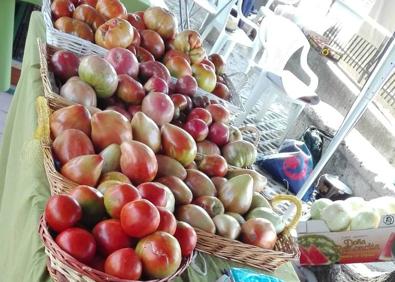Imagen secundaria 1 - Tudela de Duero presume de la calidad de su huerta con la cata y venta de 3.000 kilos de tomate