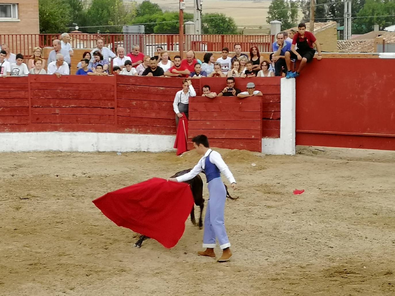 Los alumnos de la Escuela Taurina de Medina de Rioseco hicieron una demostración de su saber hacer en promoción de la tauromaquia