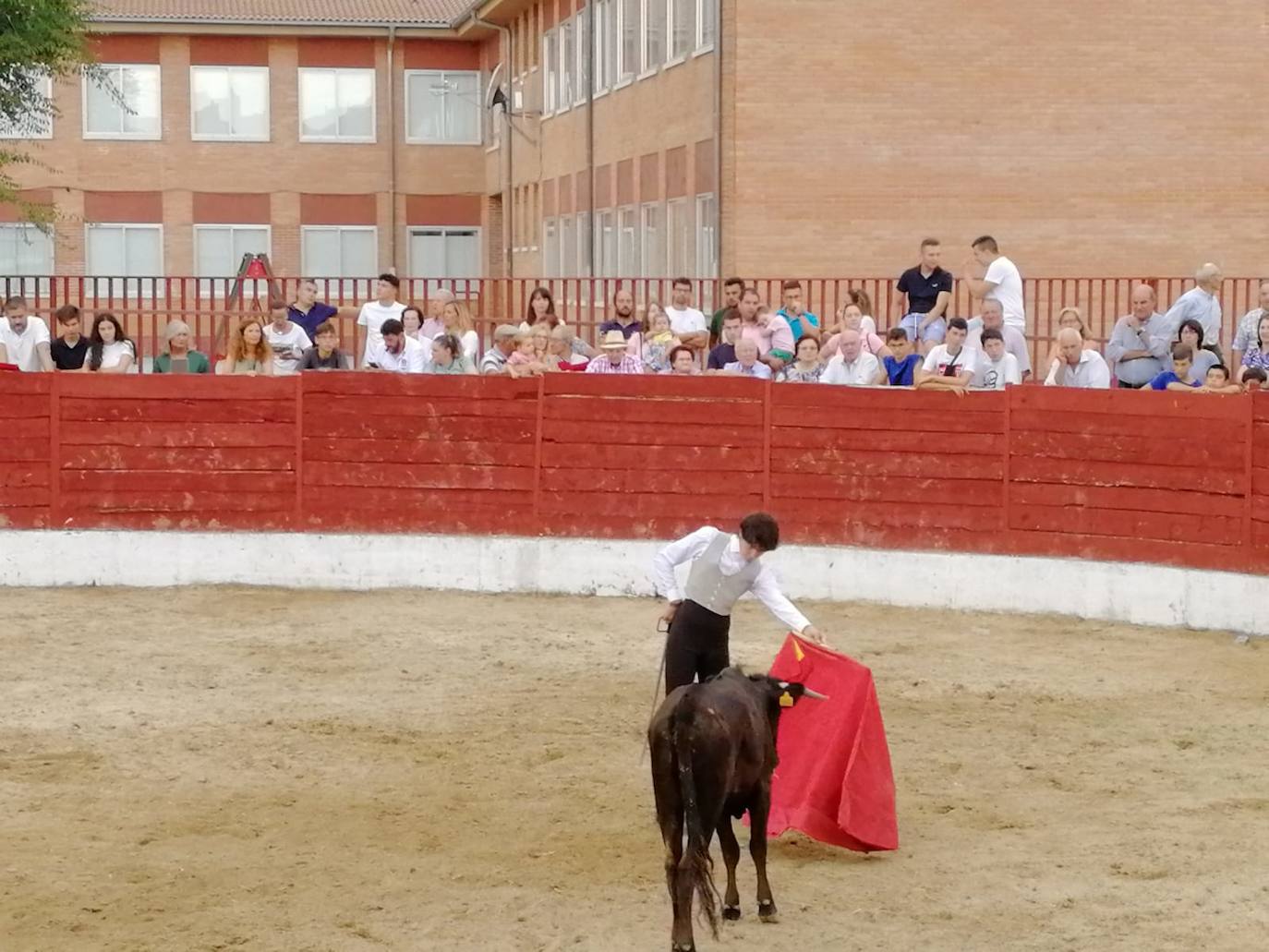 Los alumnos de la Escuela Taurina de Medina de Rioseco hicieron una demostración de su saber hacer en promoción de la tauromaquia