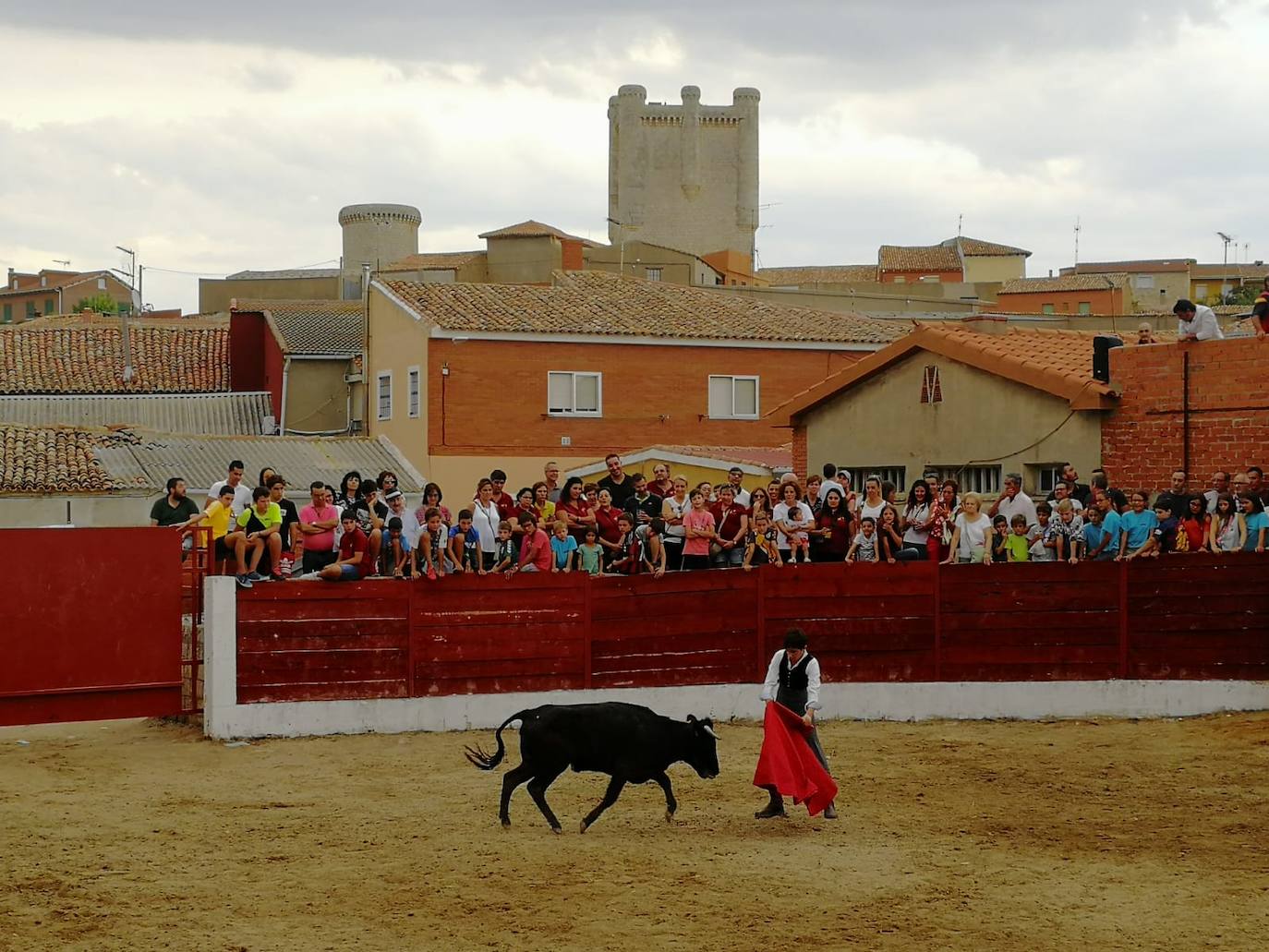 Los alumnos de la Escuela Taurina de Medina de Rioseco hicieron una demostración de su saber hacer en promoción de la tauromaquia