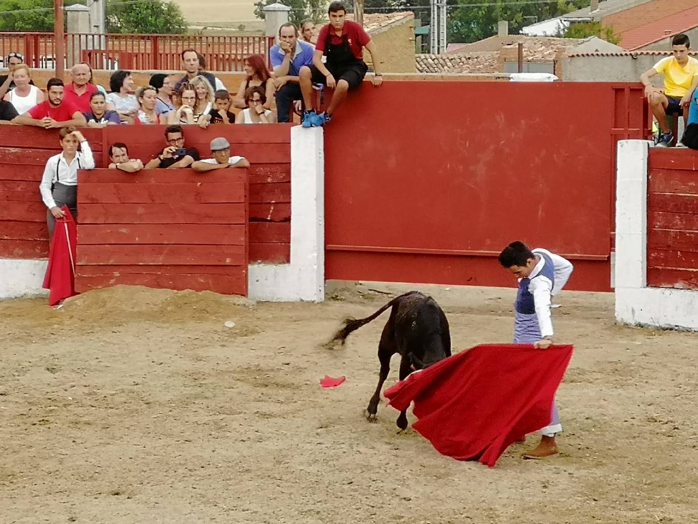 Los alumnos de la Escuela Taurina de Medina de Rioseco hicieron una demostración de su saber hacer en promoción de la tauromaquia