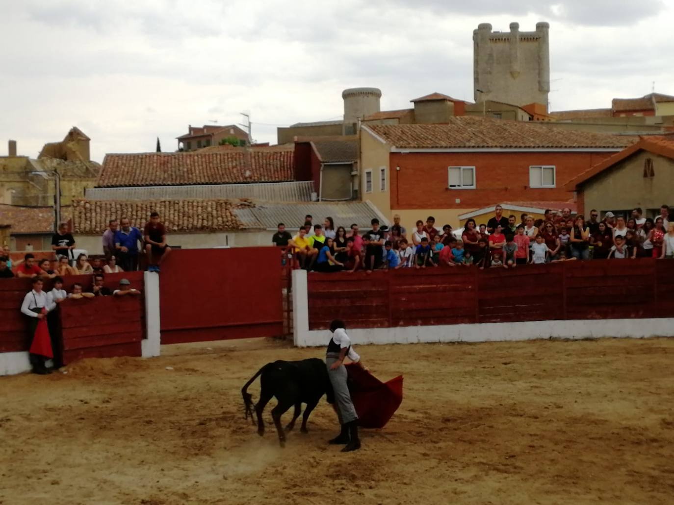 Los alumnos de la Escuela Taurina de Medina de Rioseco hicieron una demostración de su saber hacer en promoción de la tauromaquia