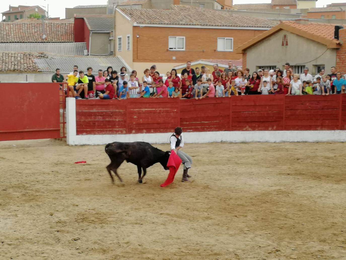 Los alumnos de la Escuela Taurina de Medina de Rioseco hicieron una demostración de su saber hacer en promoción de la tauromaquia