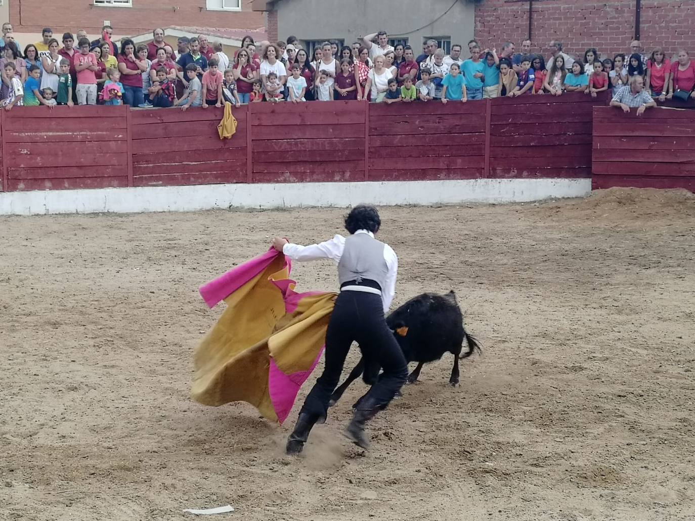 Los alumnos de la Escuela Taurina de Medina de Rioseco hicieron una demostración de su saber hacer en promoción de la tauromaquia