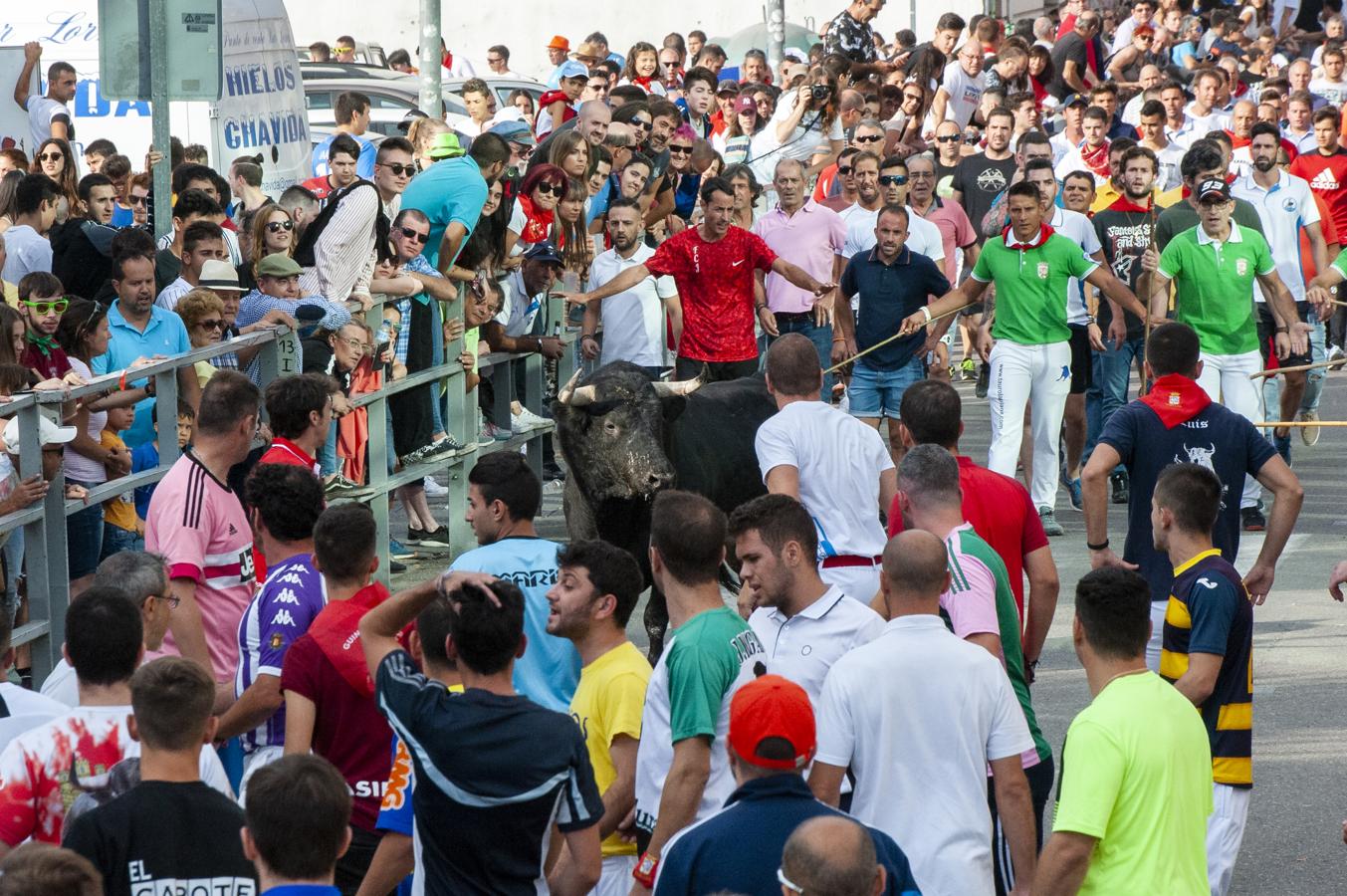 Fotos: Primer encierro de Cuéllar