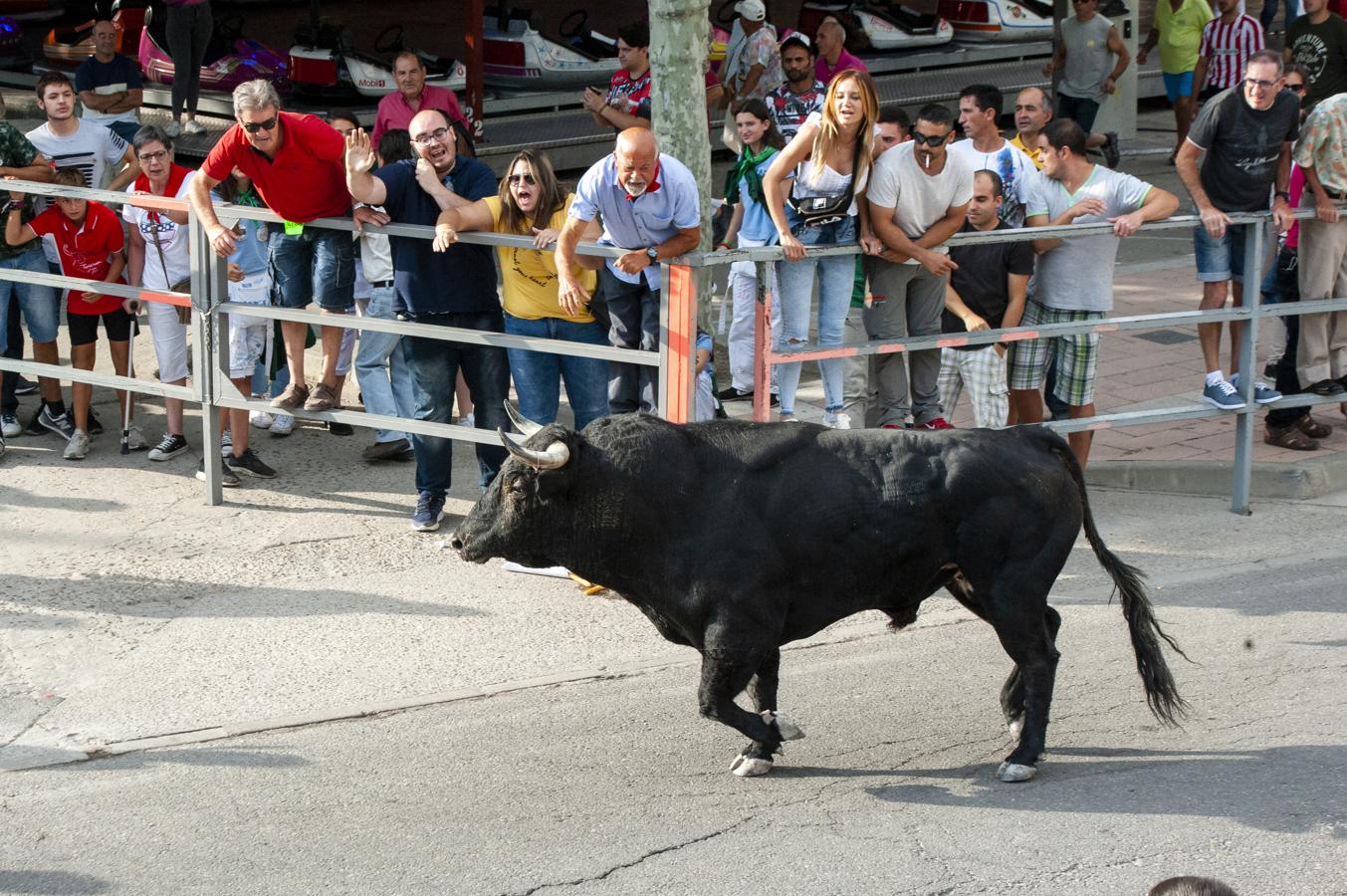 Fotos: Primer encierro de Cuéllar