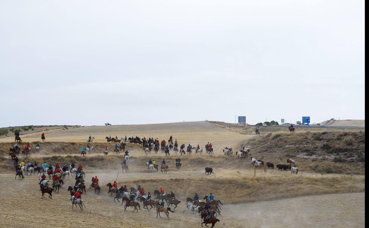 Encierro en la zona de El Embudo, donde uno de los toros se ha desviado hacia el público. ICAL