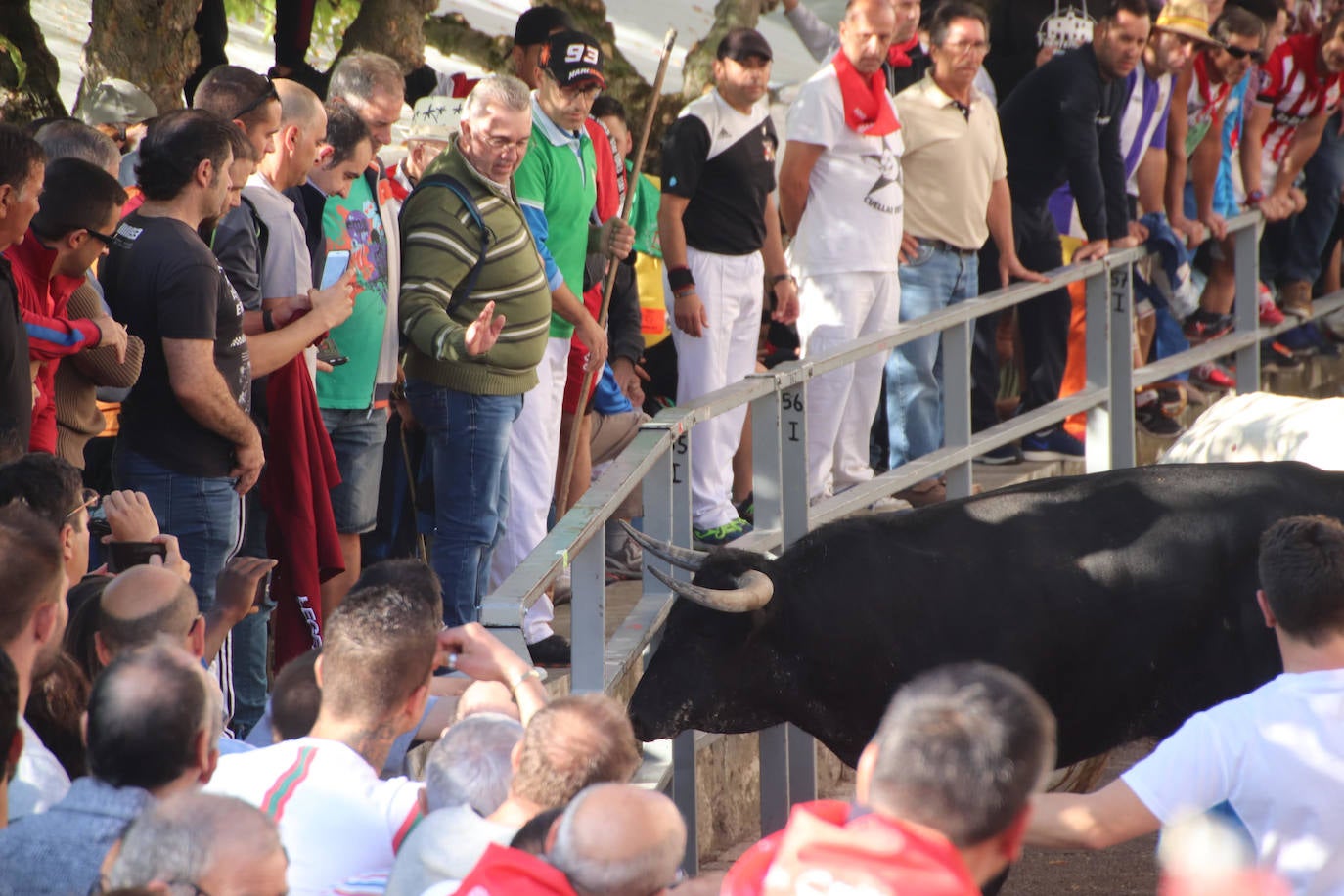 Fotos: Terce encierro en Cuéllar