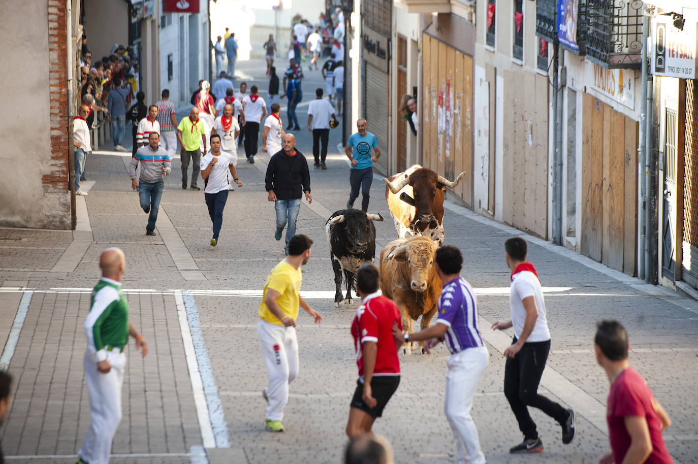 Fotos: Cuarto encierro de Cuéllar