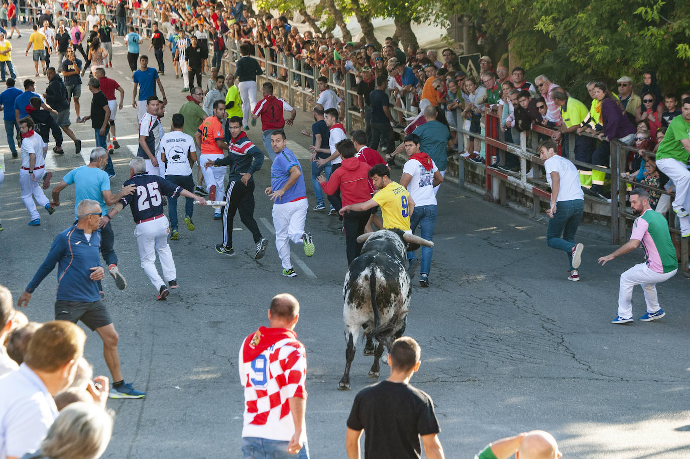 Fotos: Cuarto encierro de Cuéllar