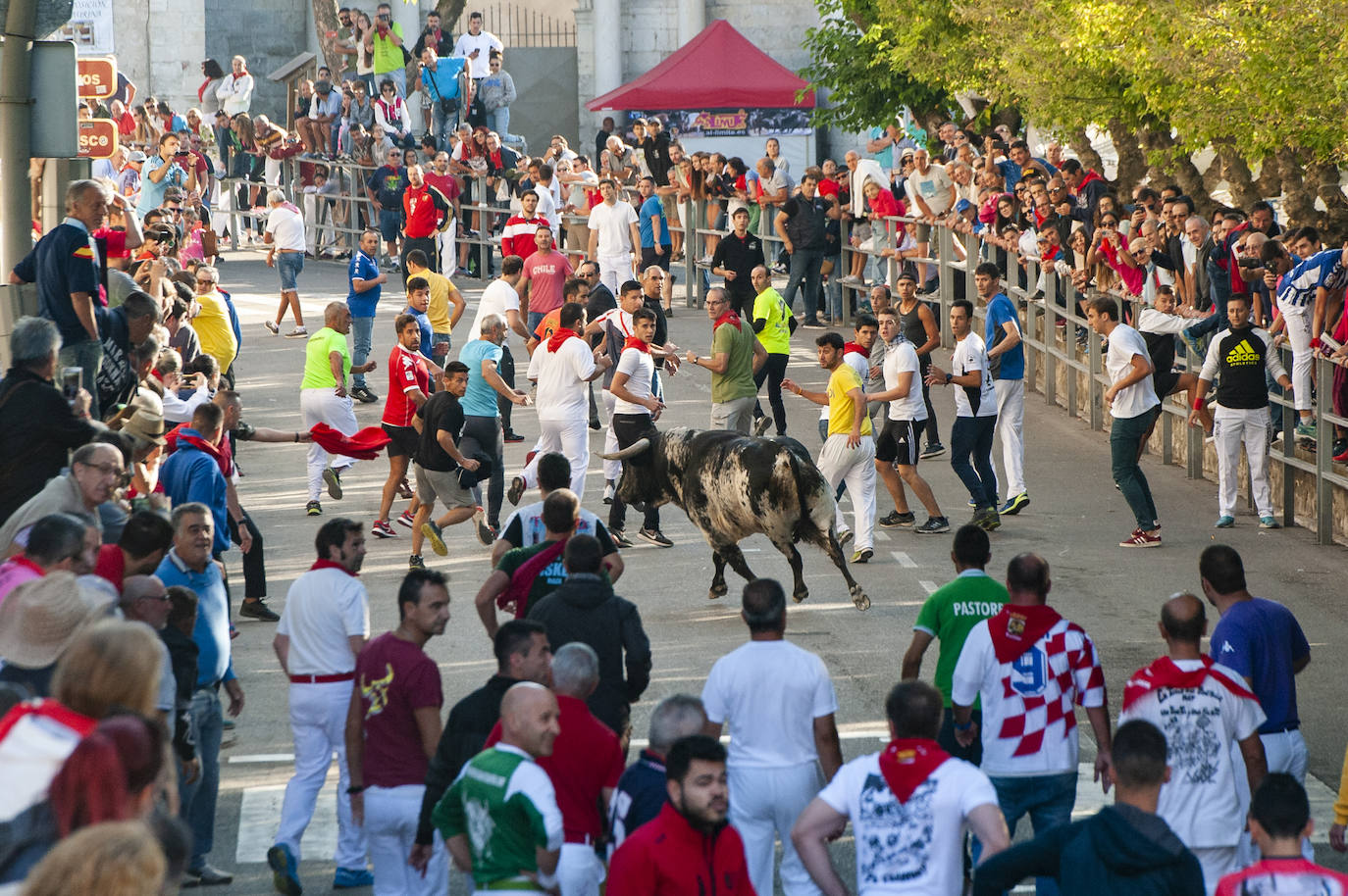 Fotos: Cuarto encierro de Cuéllar