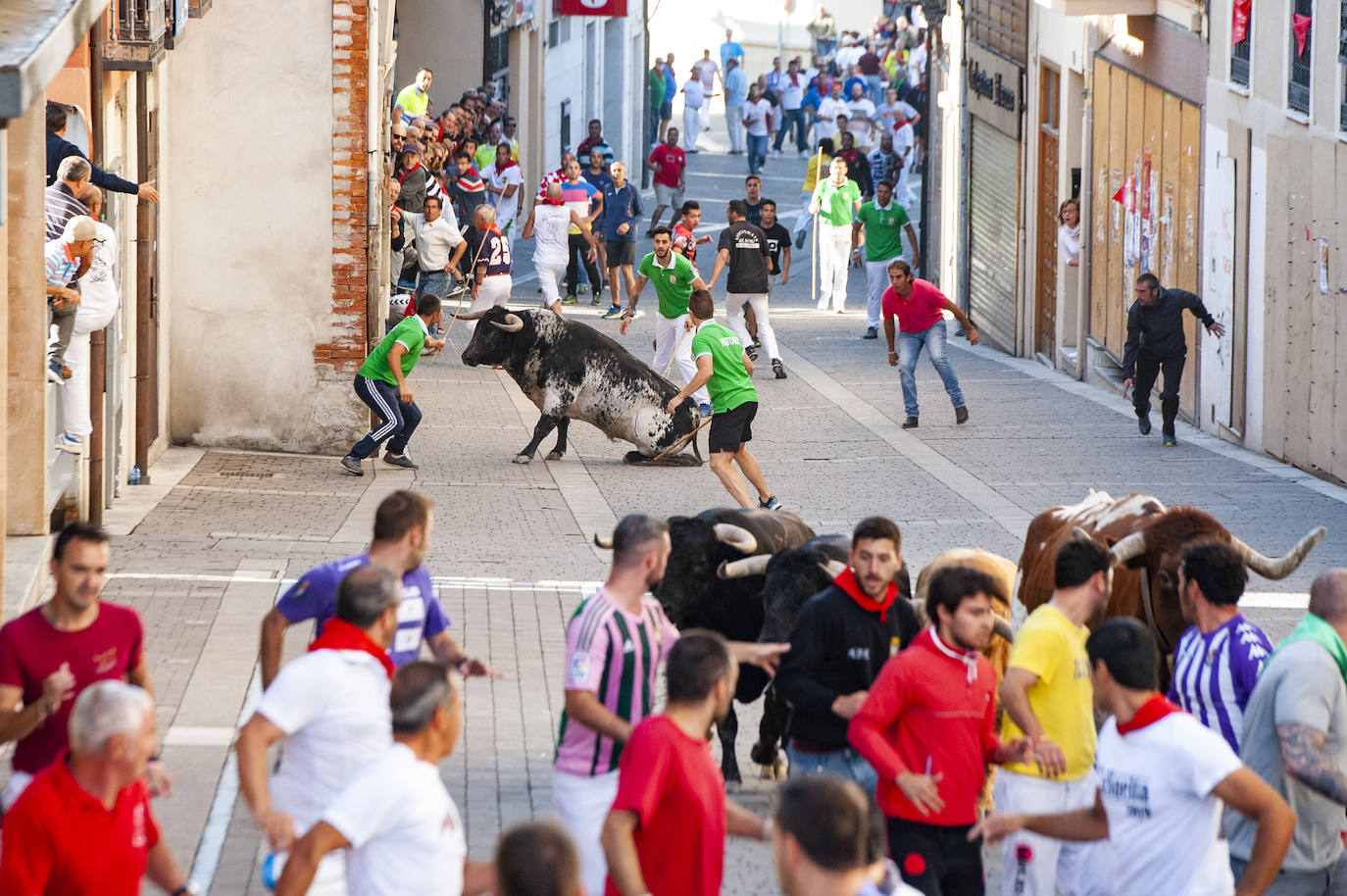 Fotos: Cuarto encierro de Cuéllar